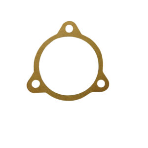 Thermostat Gasket