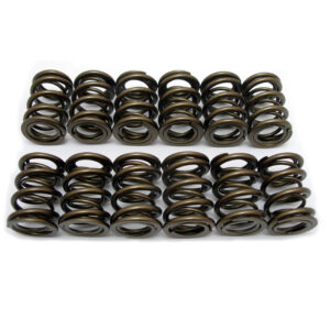 Valve Spring Set (12) - 8mm valve type (Road Car)
